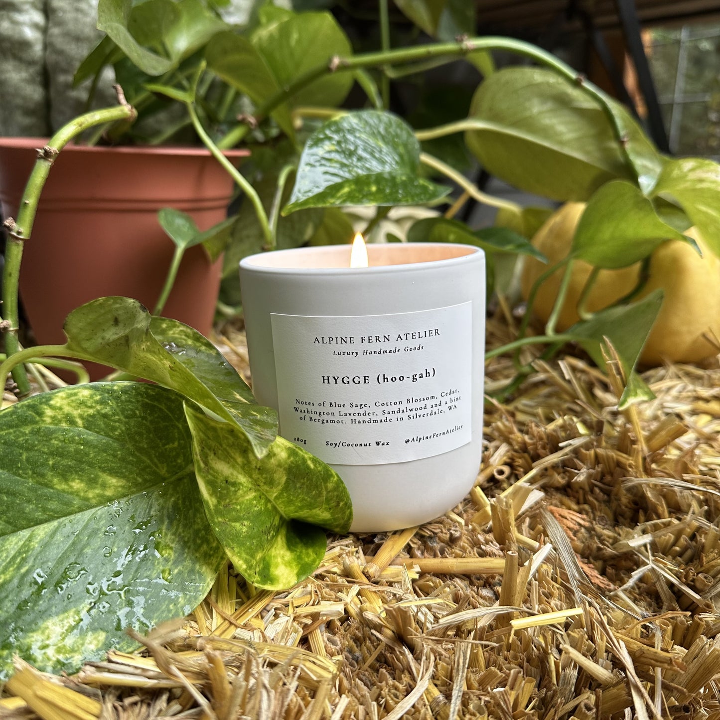 Misfit Candles