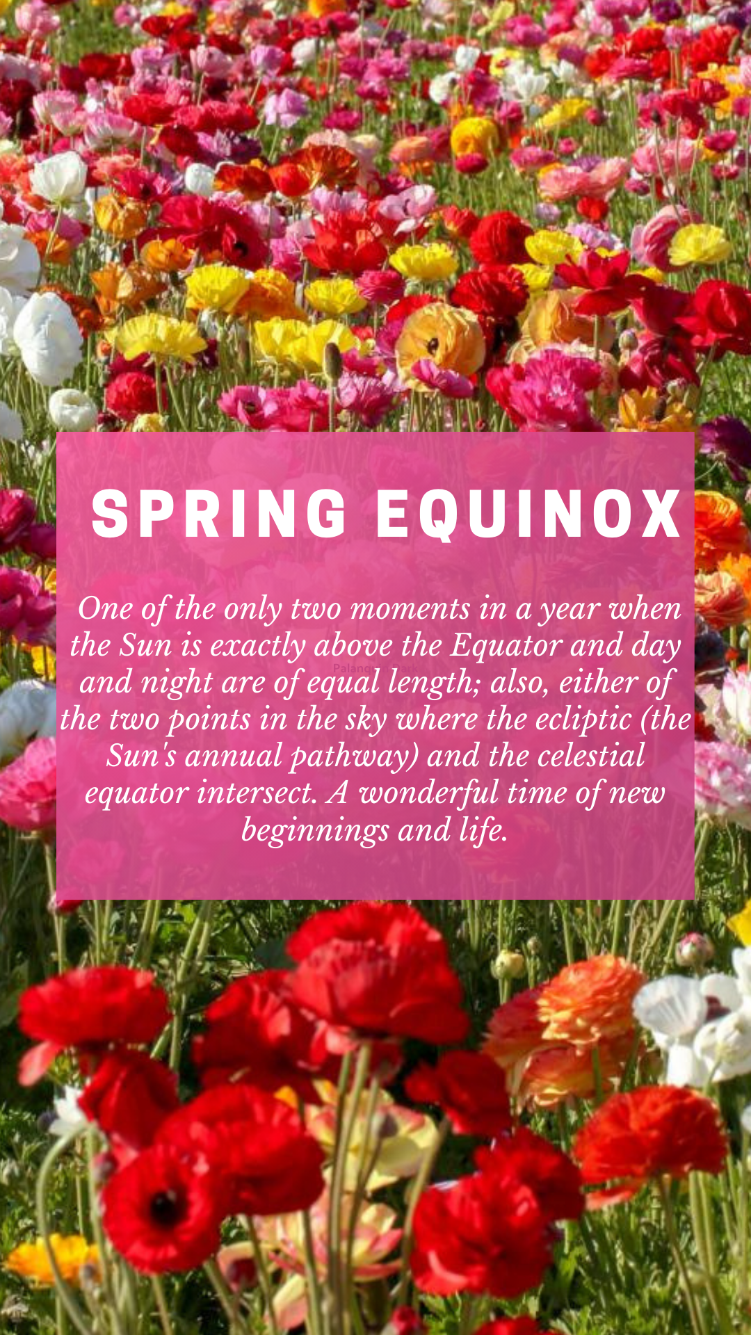 Spring Equinox