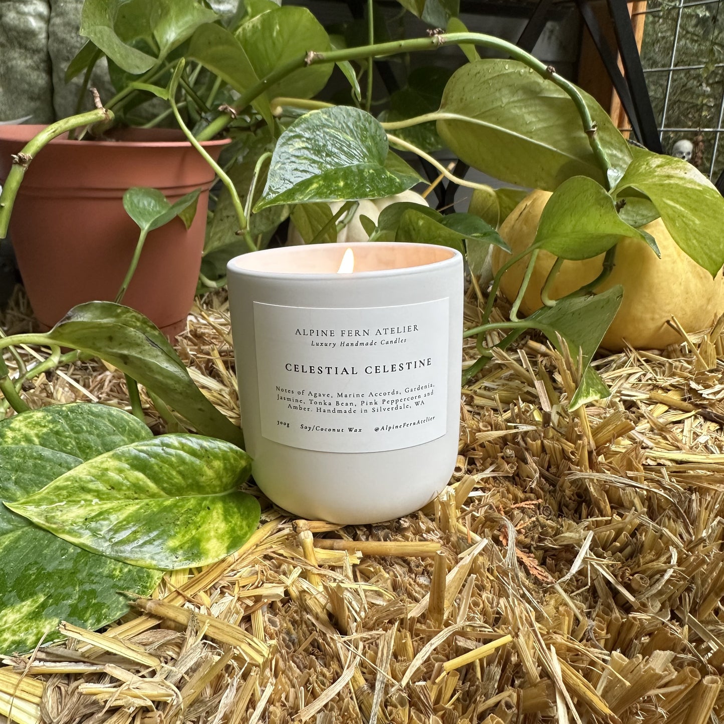 Misfit Candles