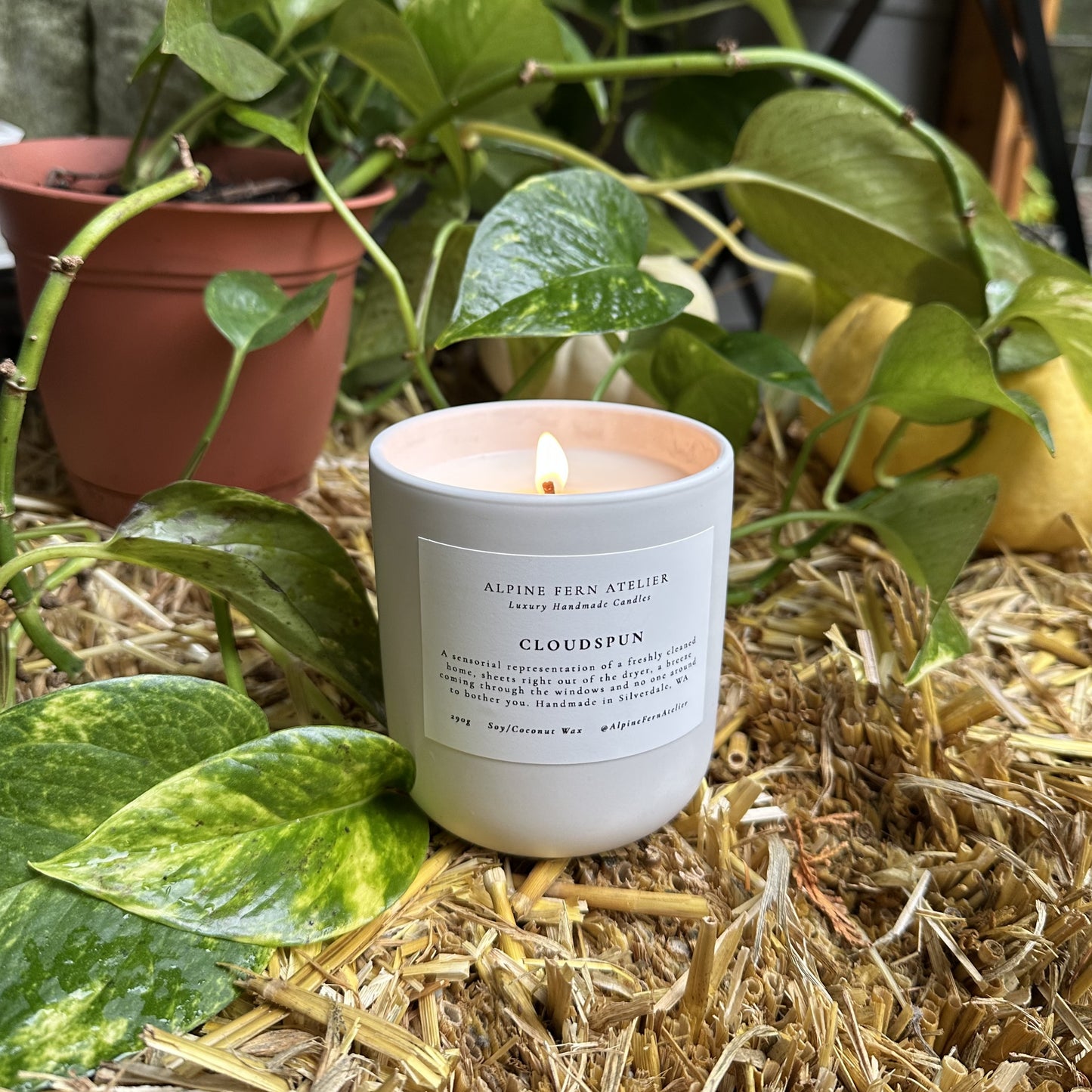 Misfit Candles