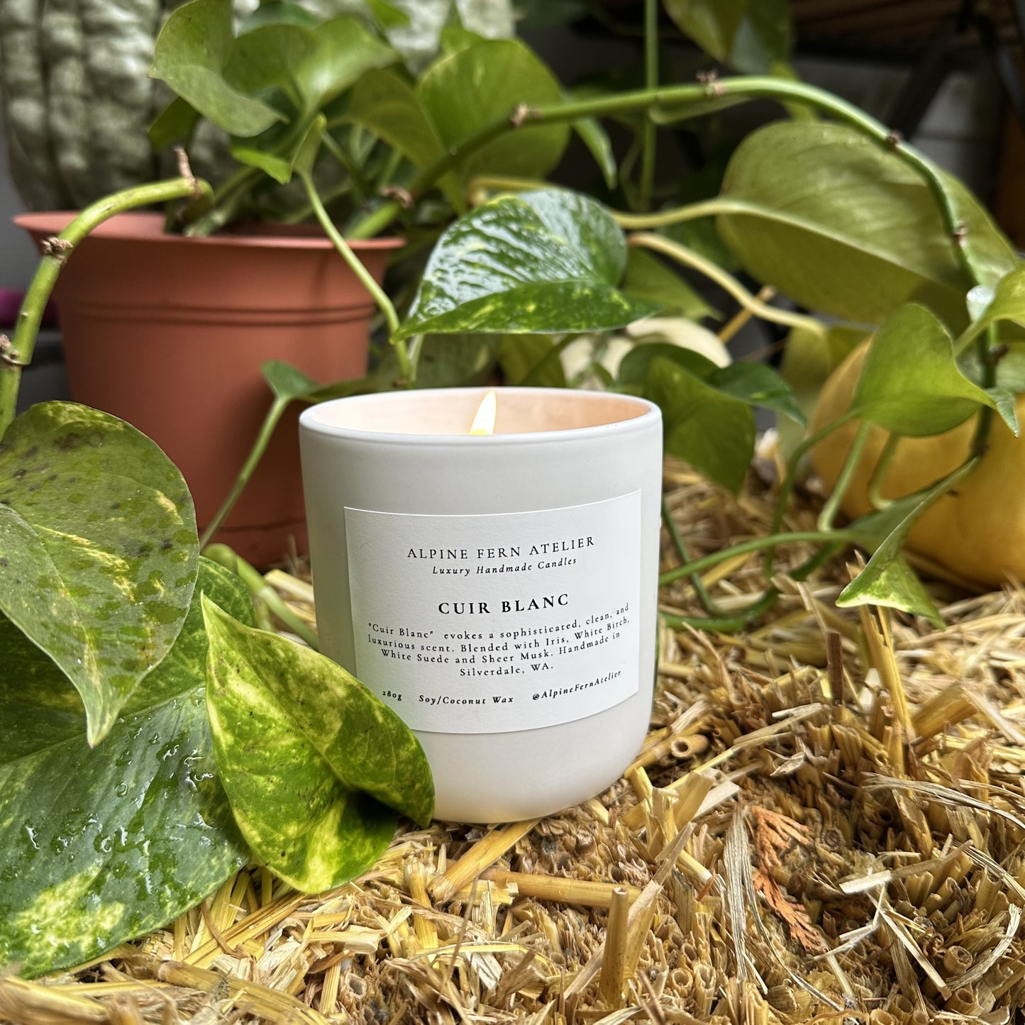 Misfit Candles