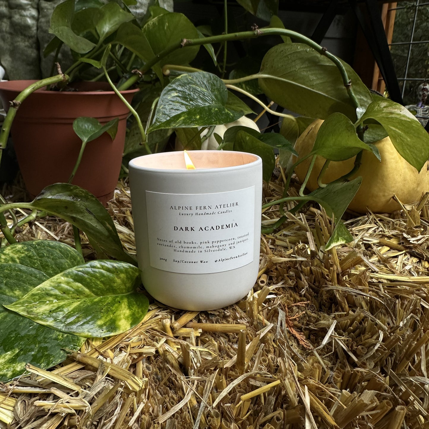 Misfit Candles