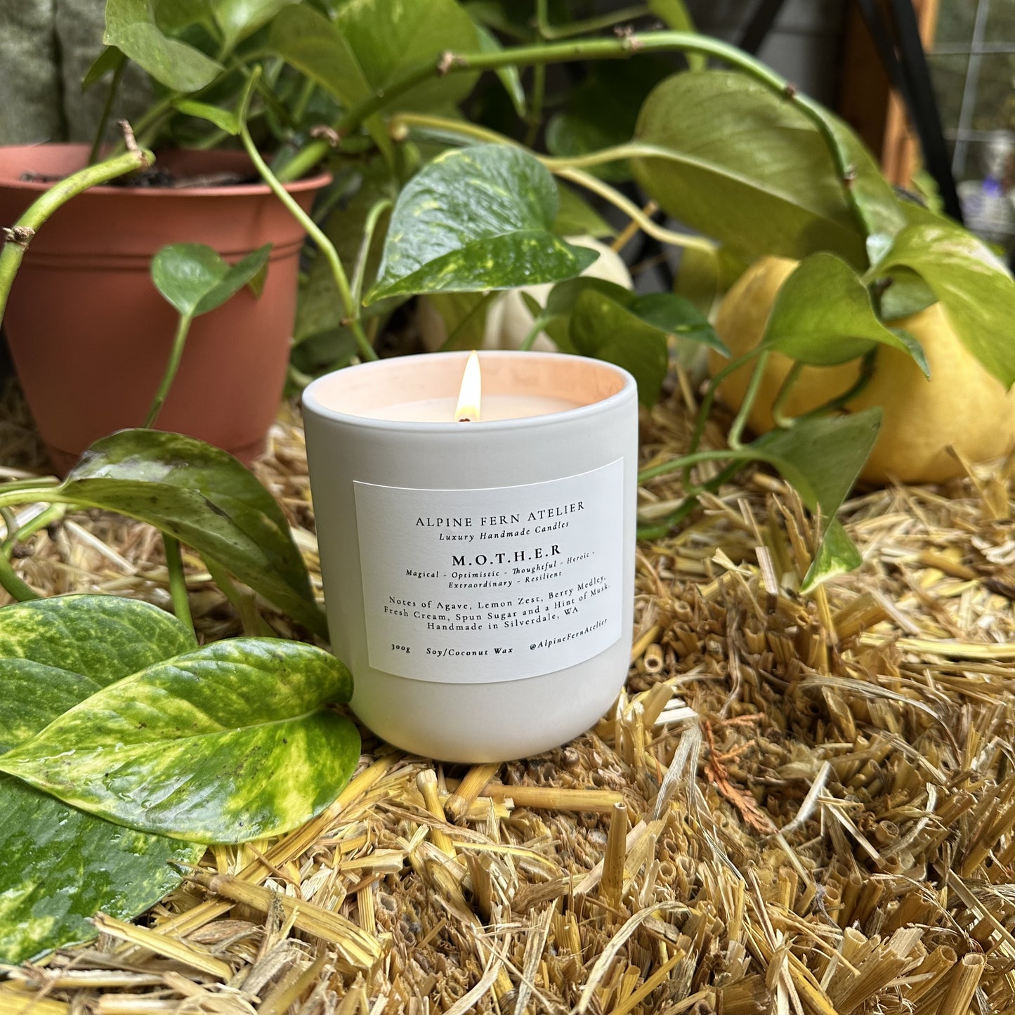 Misfit Candles