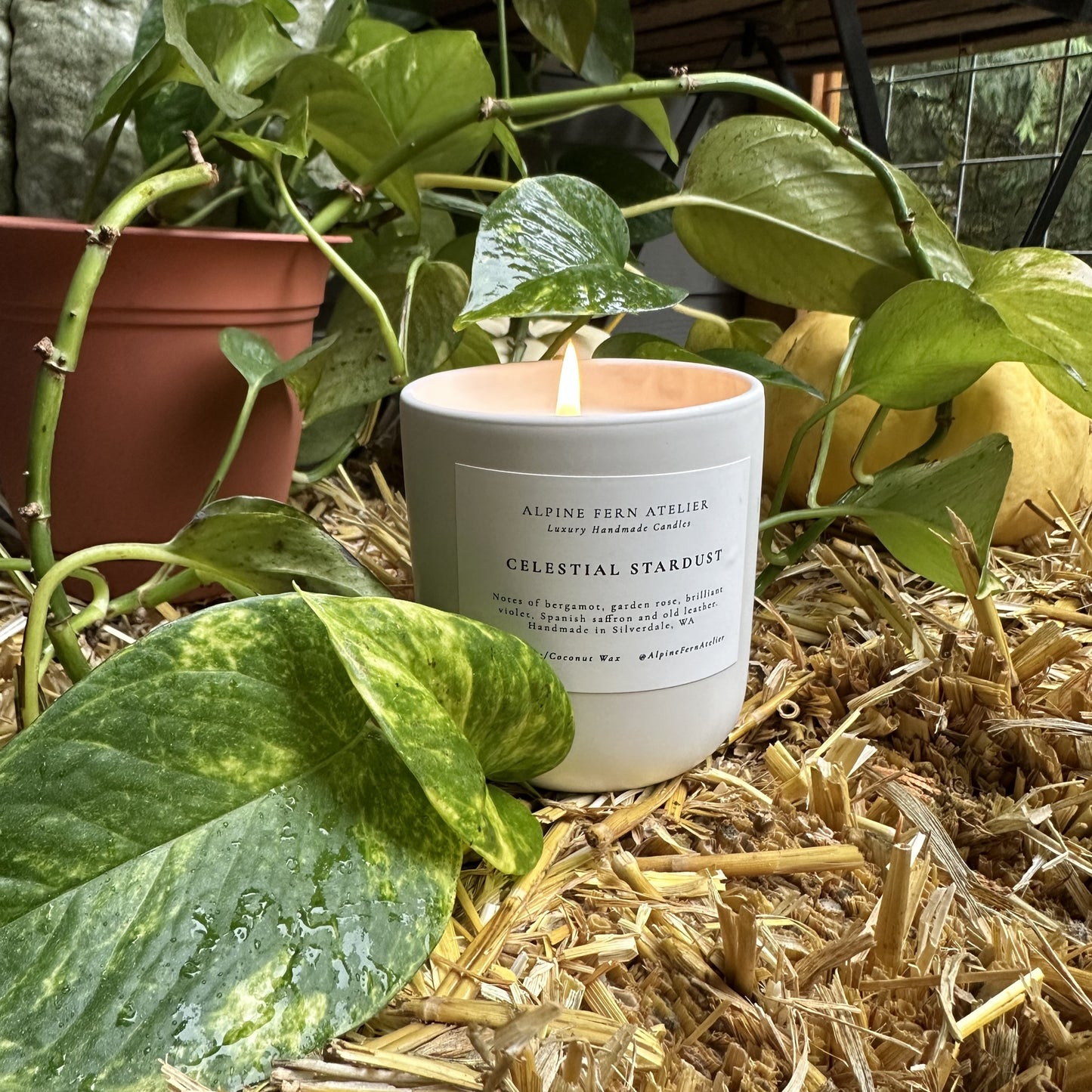 Misfit Candles