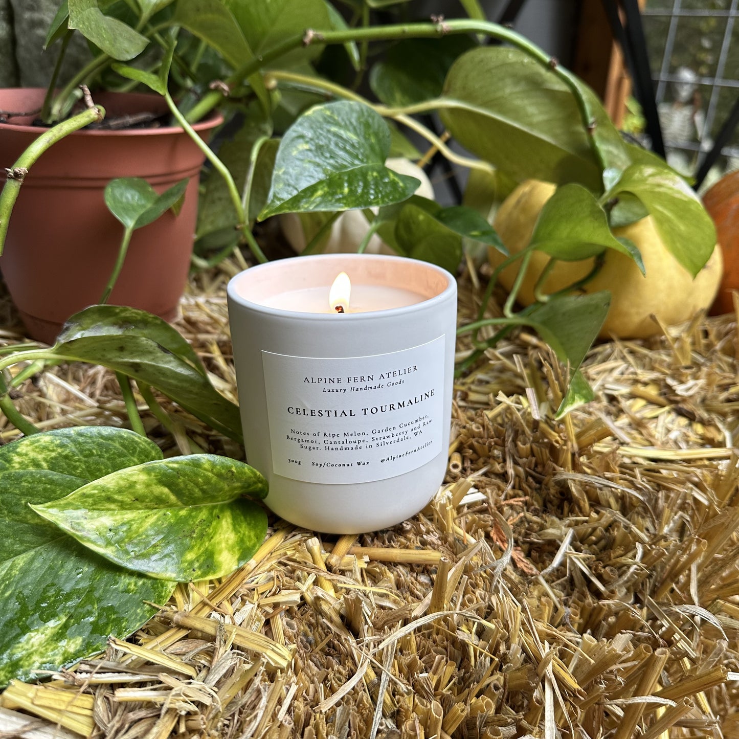 Misfit Candles