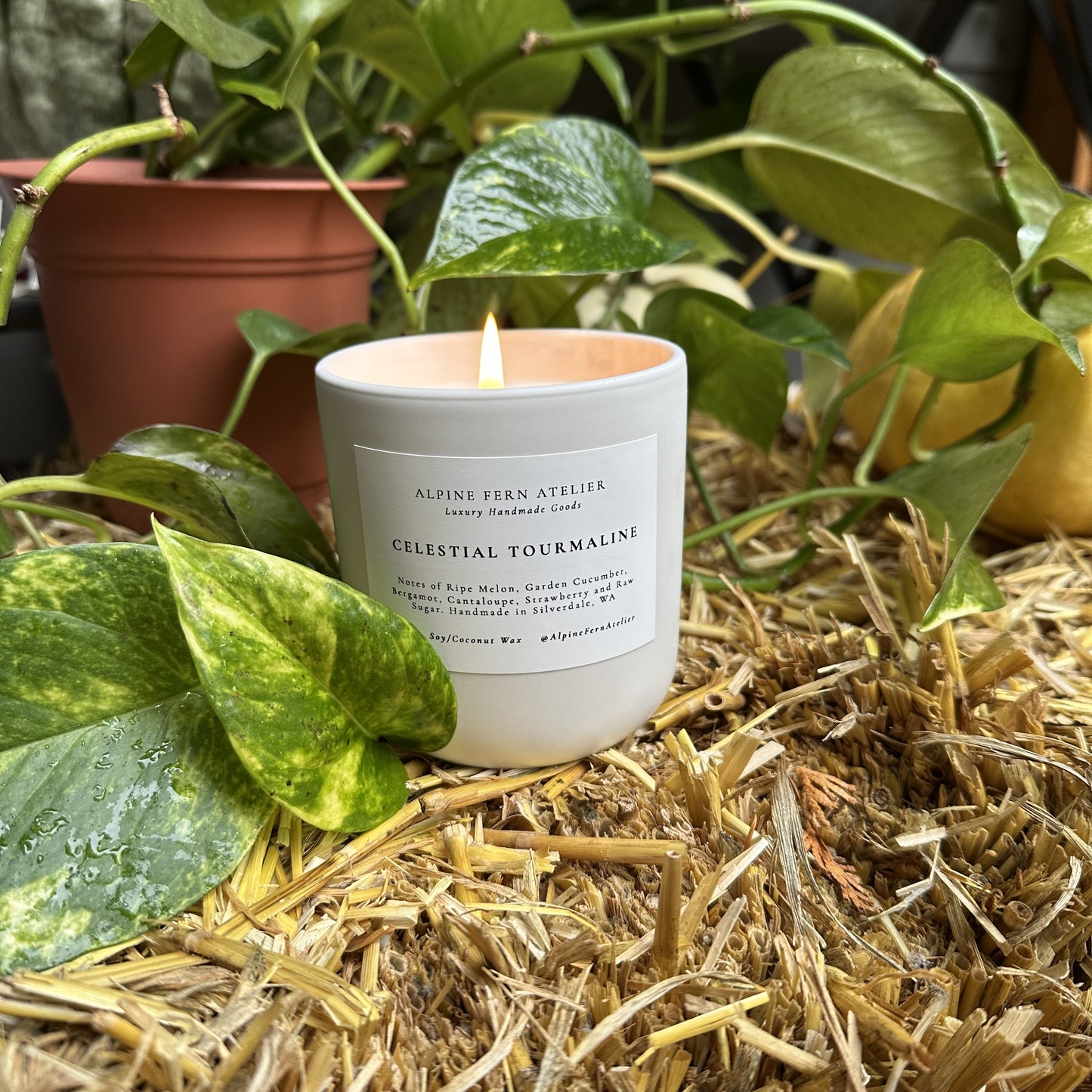 Misfit Candles