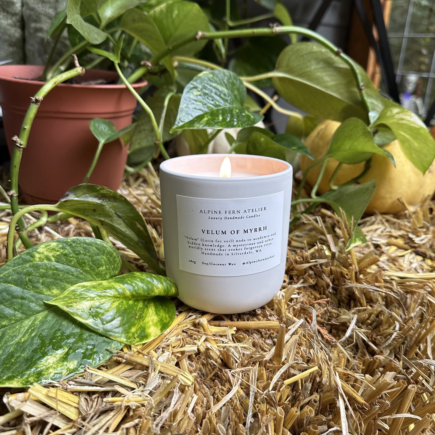 Misfit Candles