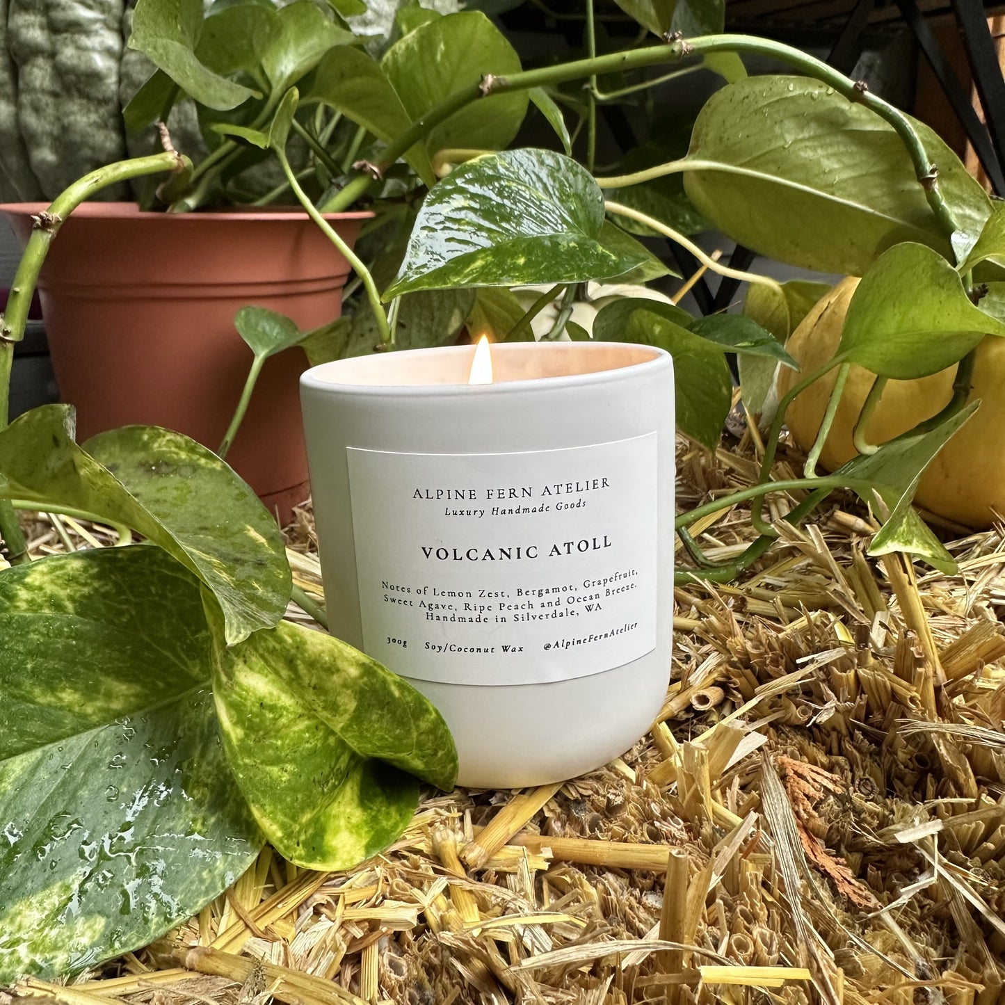 Misfit Candles